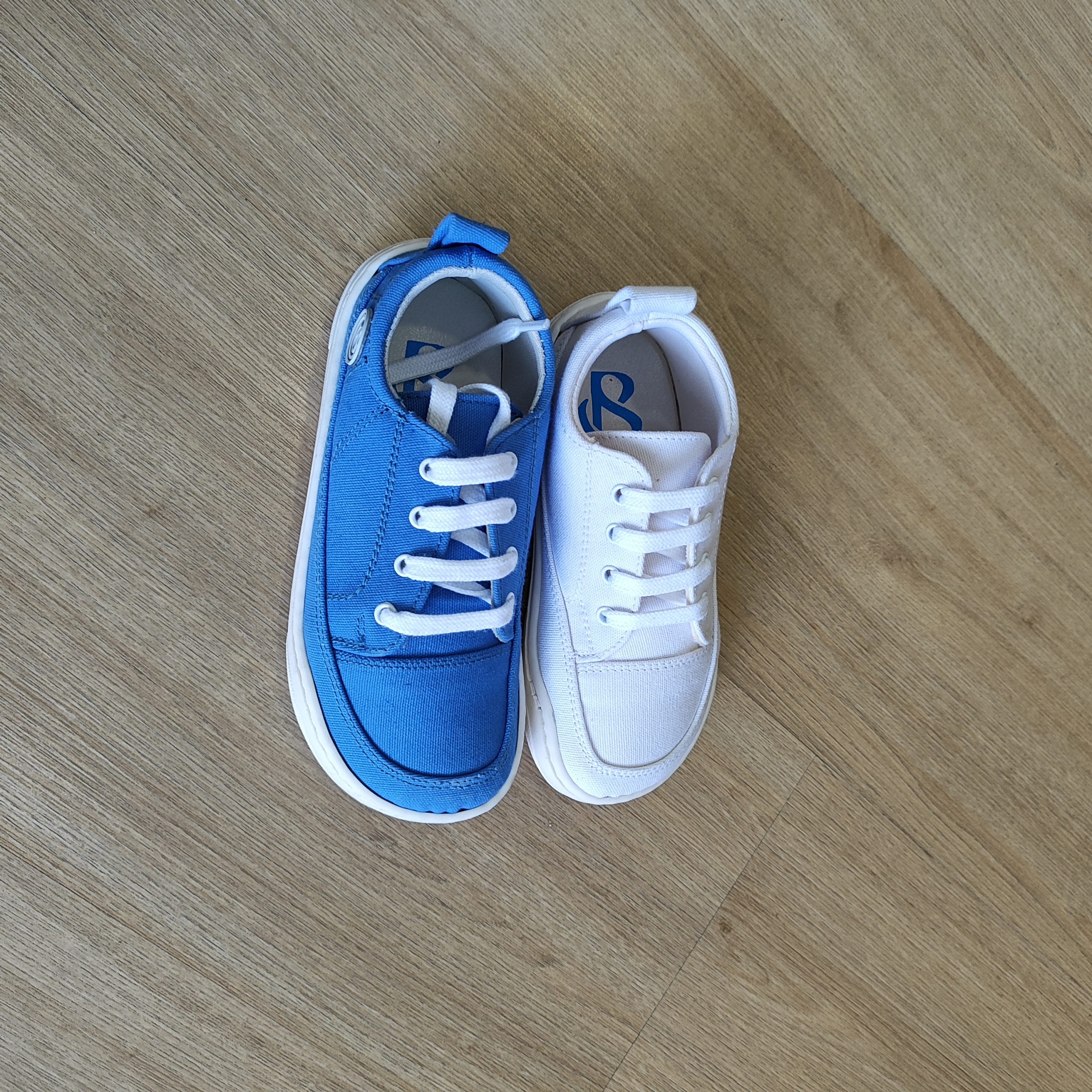 DEPORTIVAS FRESH CORDON DE BLANDY SHOES ADULTOS